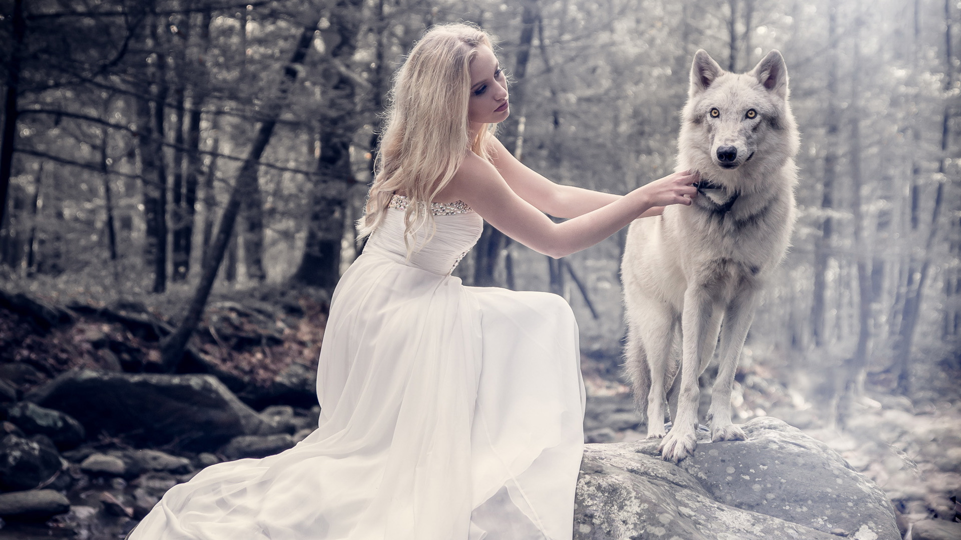 漂亮女孩，白色礼服，狗，自然照片，唯美壁纸