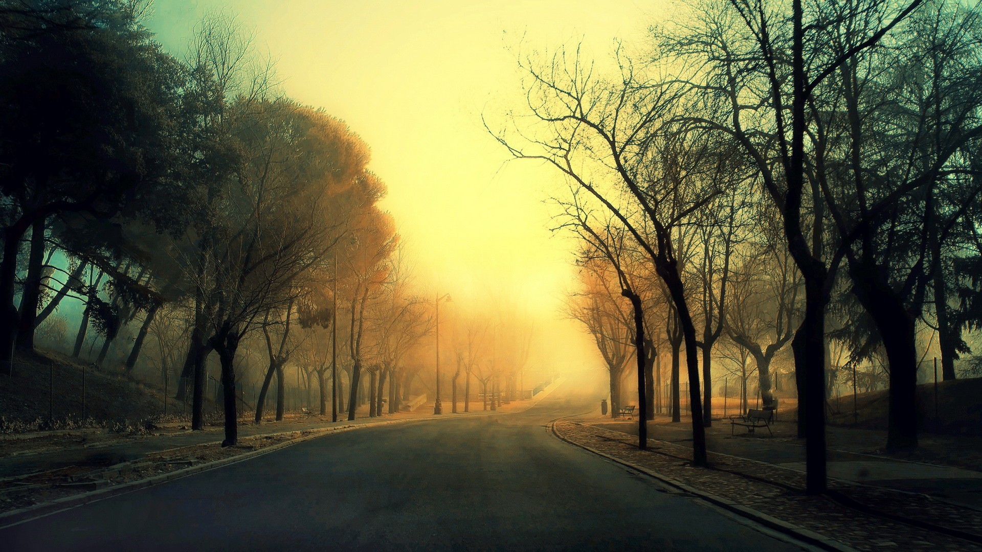 道路,人行道,树木,雾,风景图片壁纸