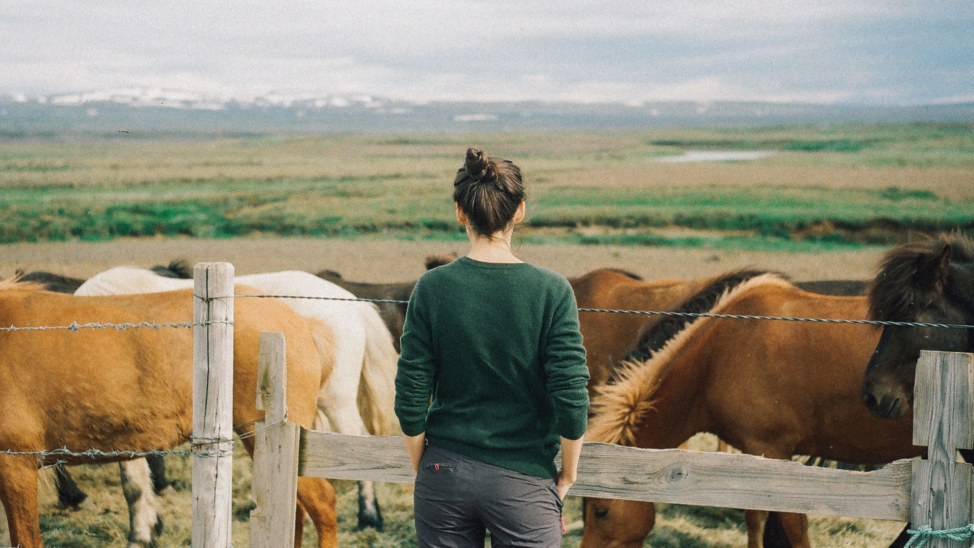 田野,河流,山,天空,牧场,马,电线栅栏,毛衣的女孩背影壁纸