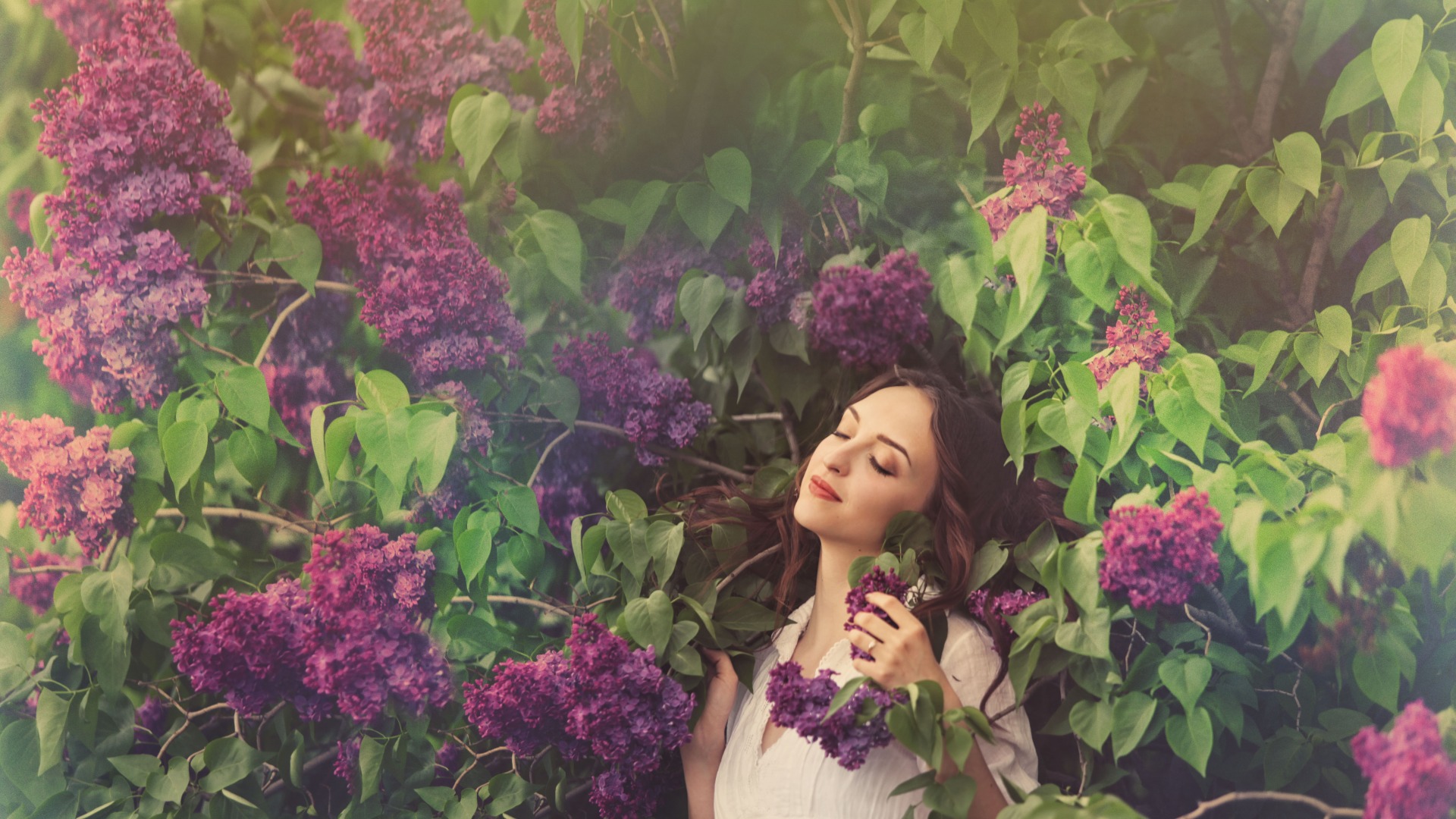 紫丁香花,香味,花丛中女孩唯美桌面壁纸