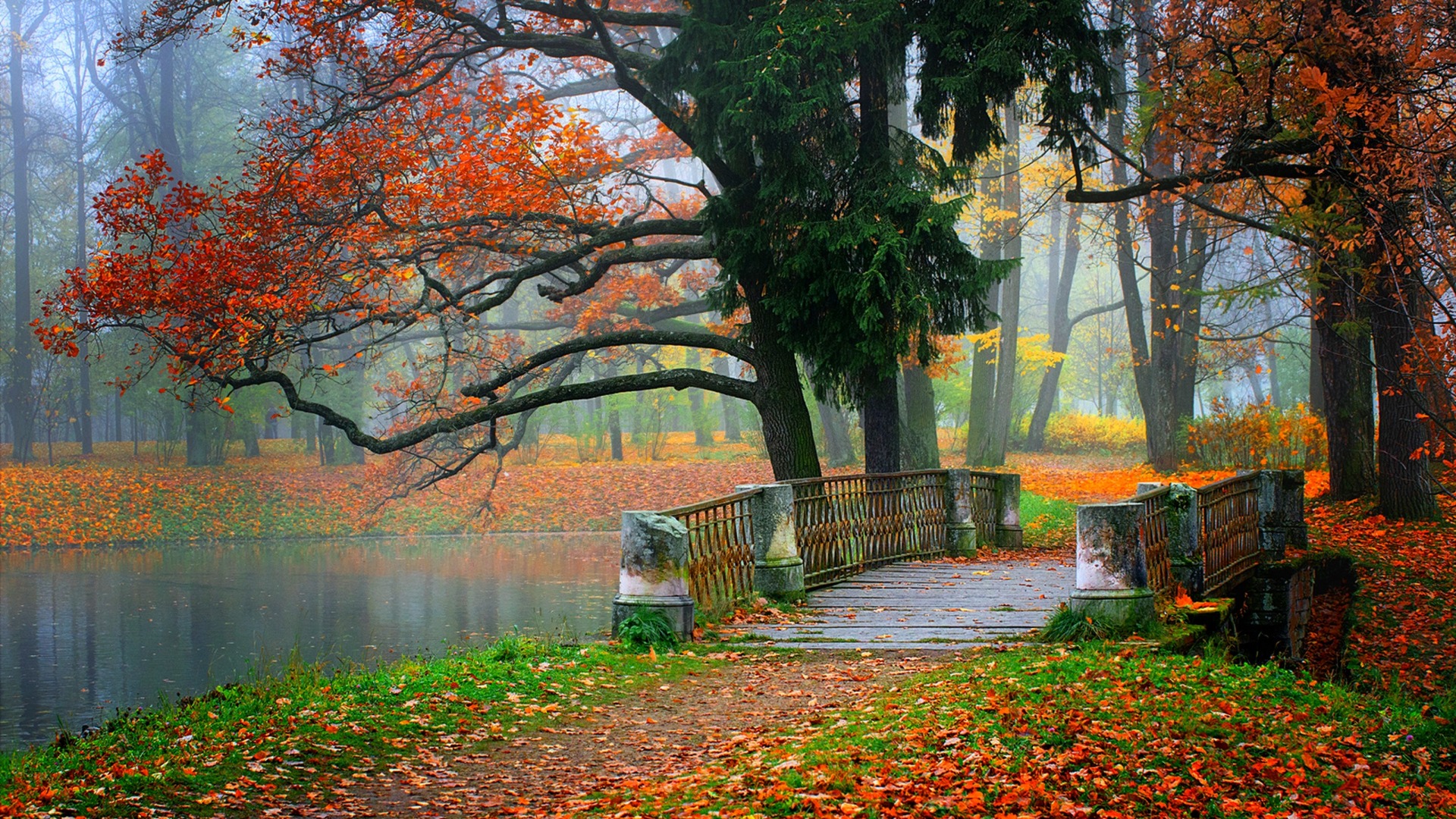 秋天,河水,森林,公园,树木,树叶,小路,小桥,多彩,风景桌面壁纸