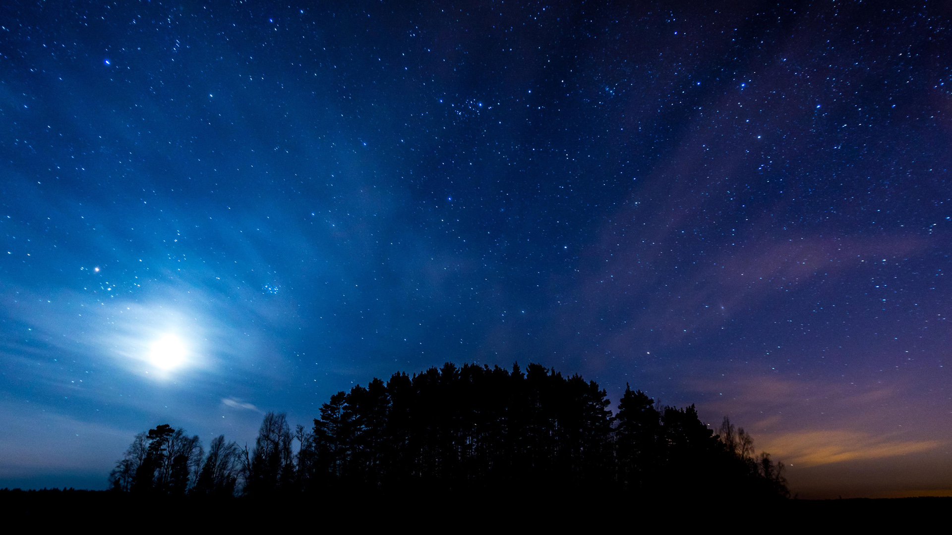 夜晚树林星空绝美壁纸，免费高清电脑背景下载