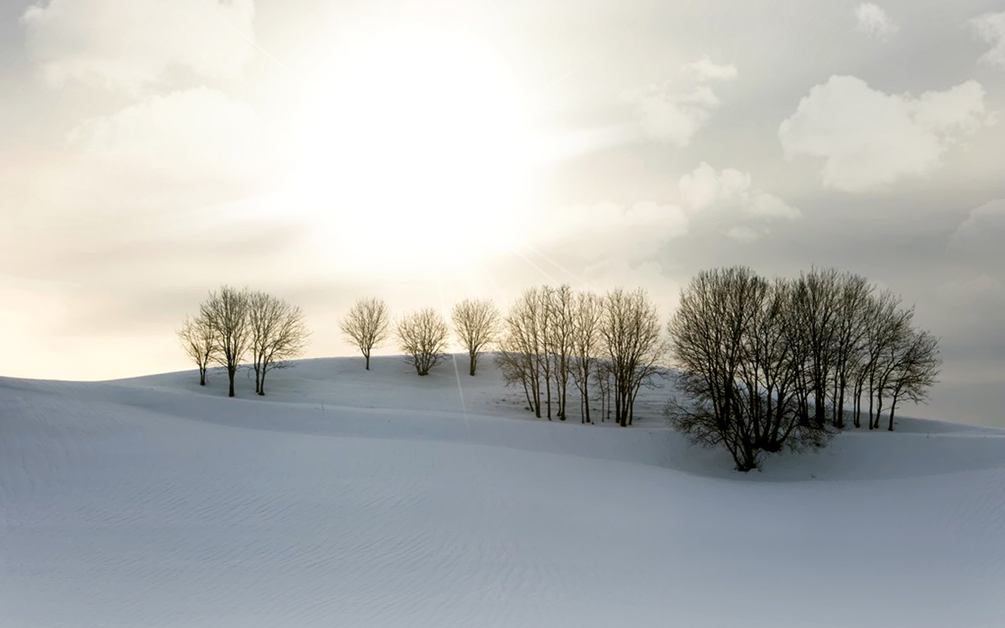 雪的美丽家乡风景壁纸