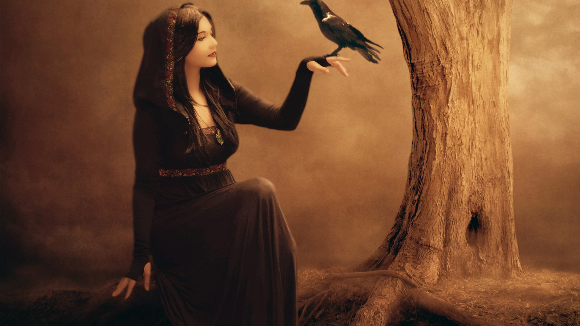女孩的照片,幻想,树,小鸟,唯美意境桌面壁纸