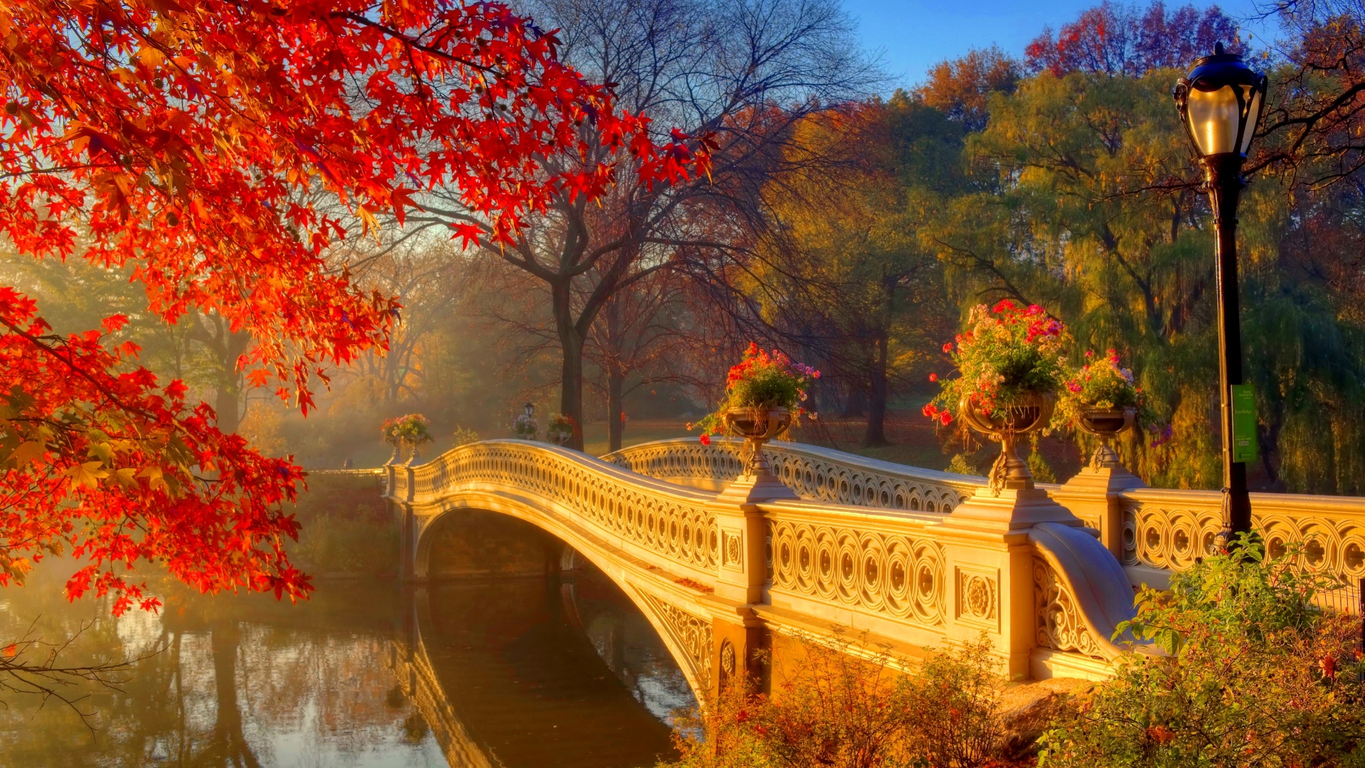 秋天,早晨的雾,小河,树木,桥梁,公园,风景桌面壁纸