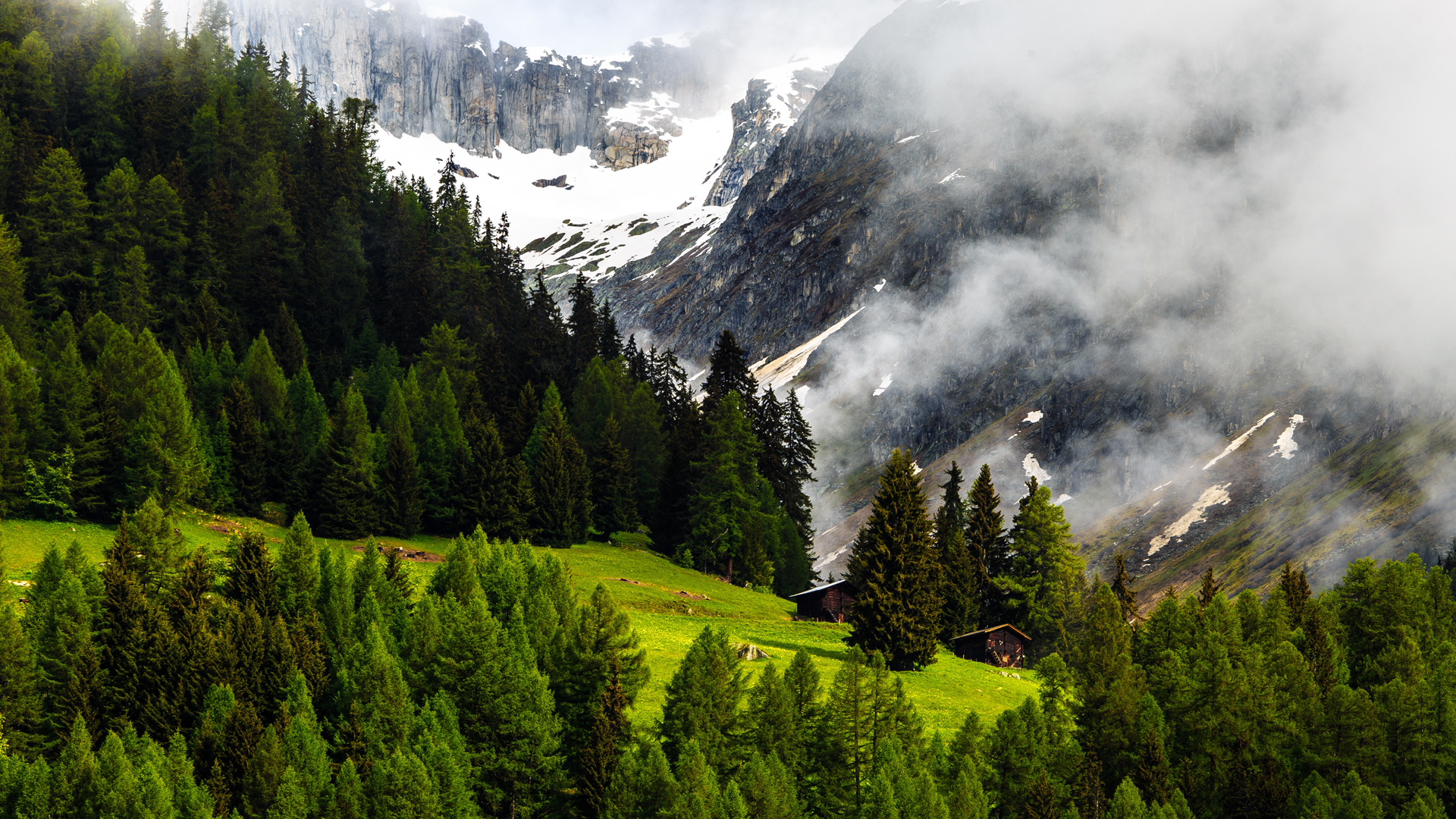 瑞士阿尔卑斯山森林风景桌面壁纸