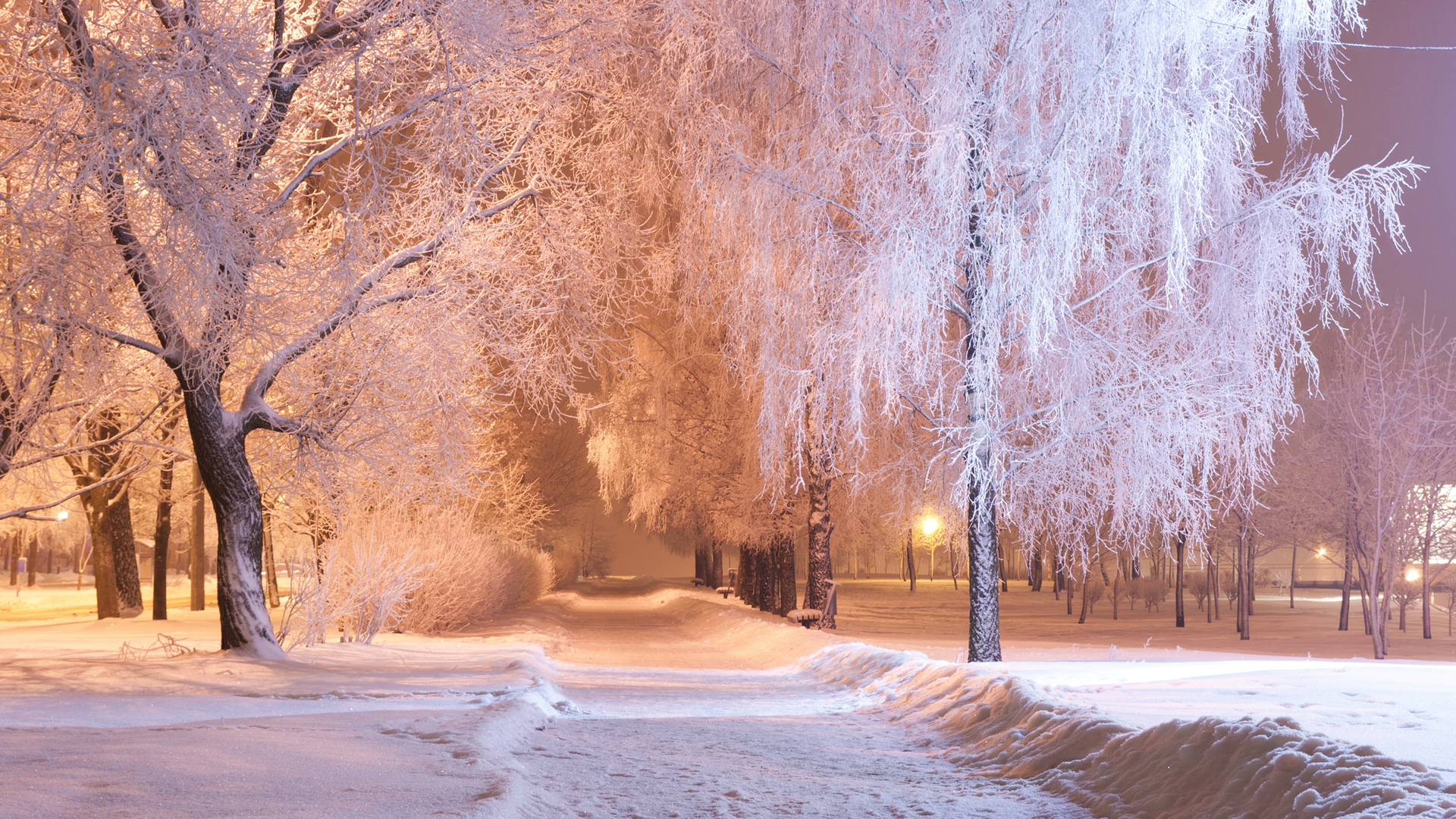 冬天,晚上,公园,小巷,雪,树木,灯光,路,风景桌面壁纸