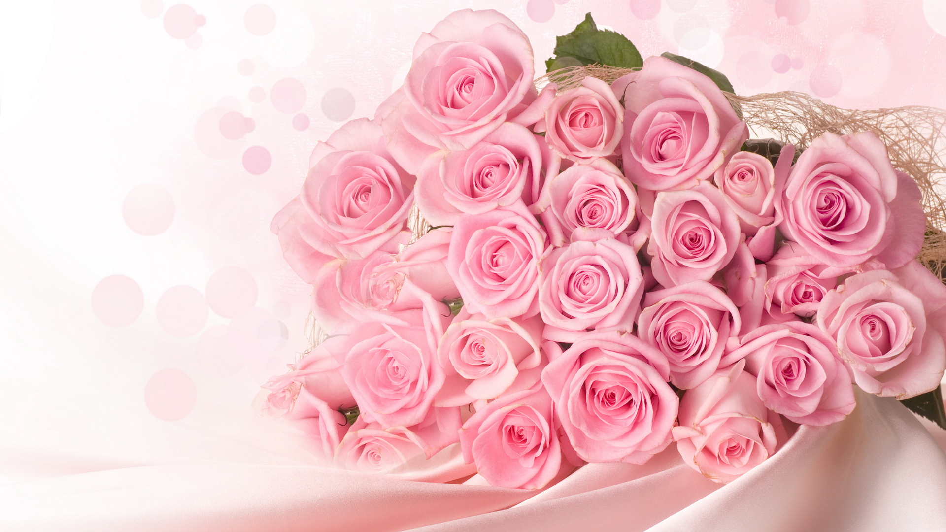 浪漫的柔情的粉色玫瑰花桌面壁纸