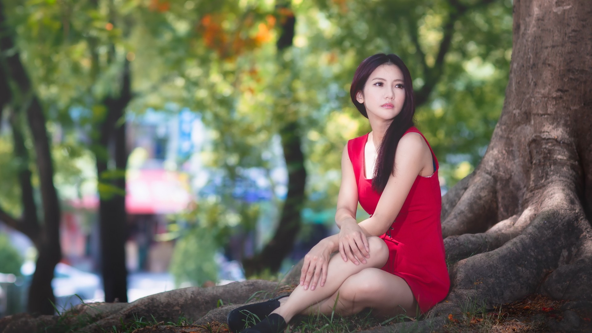 公园,树林,红衣美女,气质,桌面壁纸