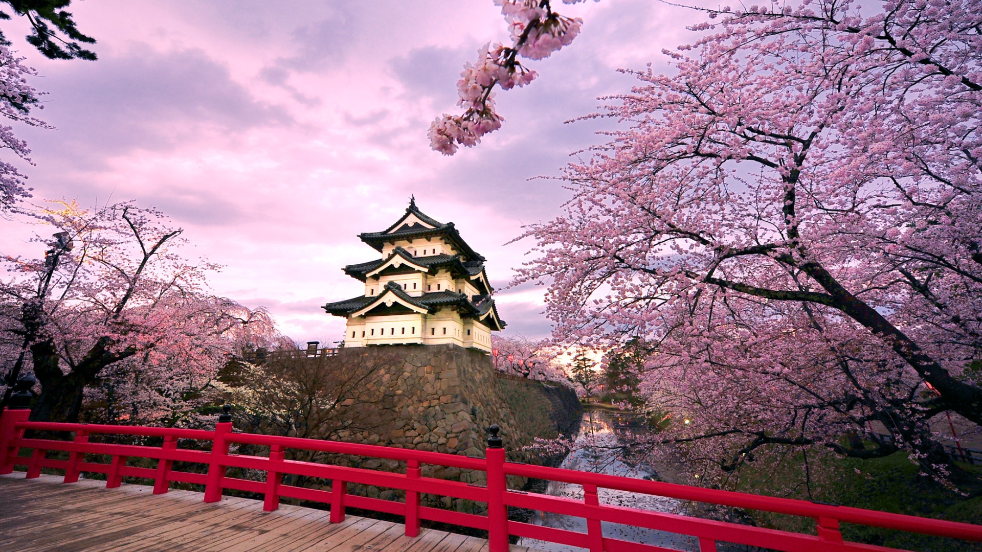 日本弘前城,樱花,风景桌面壁纸