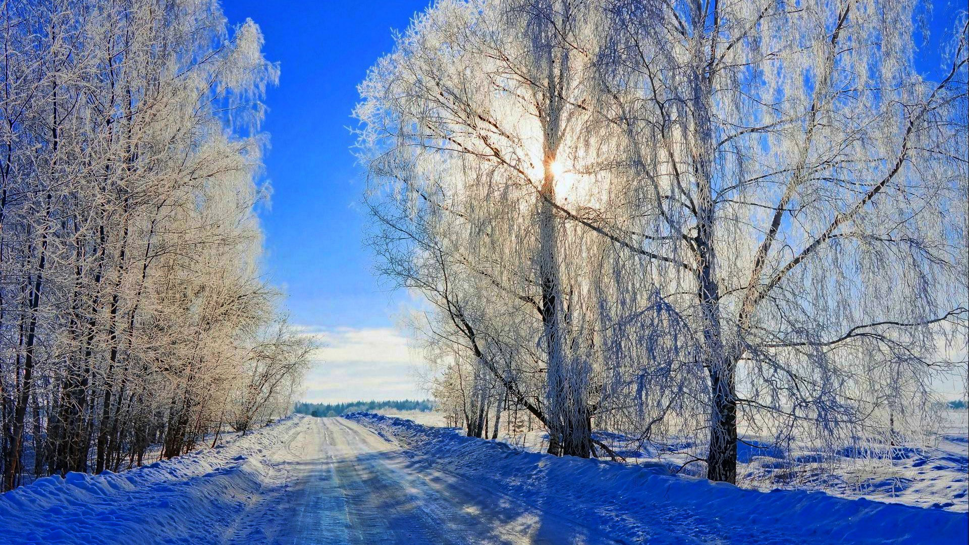 冬天,雪,路,树木,太阳,蓝色雪景,自然风景壁纸