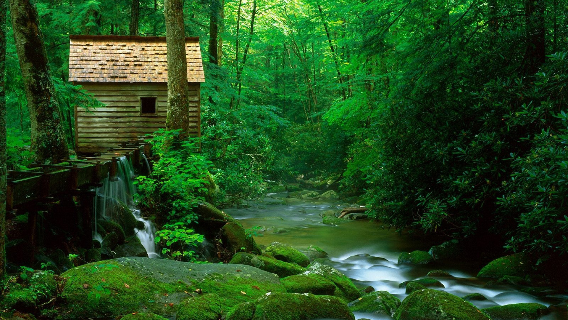 森林,房子,小溪,石头,自然风景壁纸