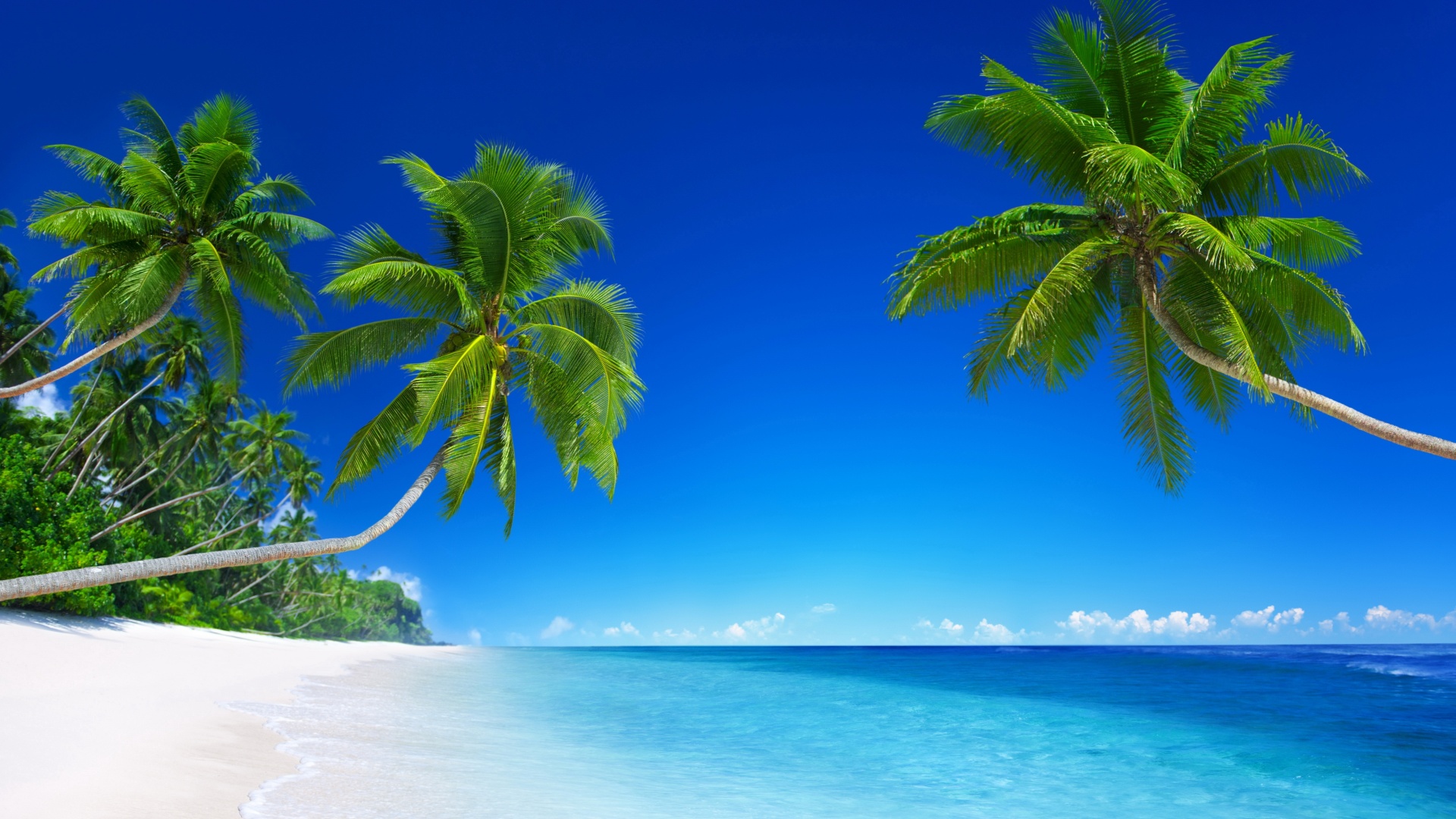 热带海洋,沙滩,沙子,棕榈树图片,蓝色大海天空风景桌面壁纸