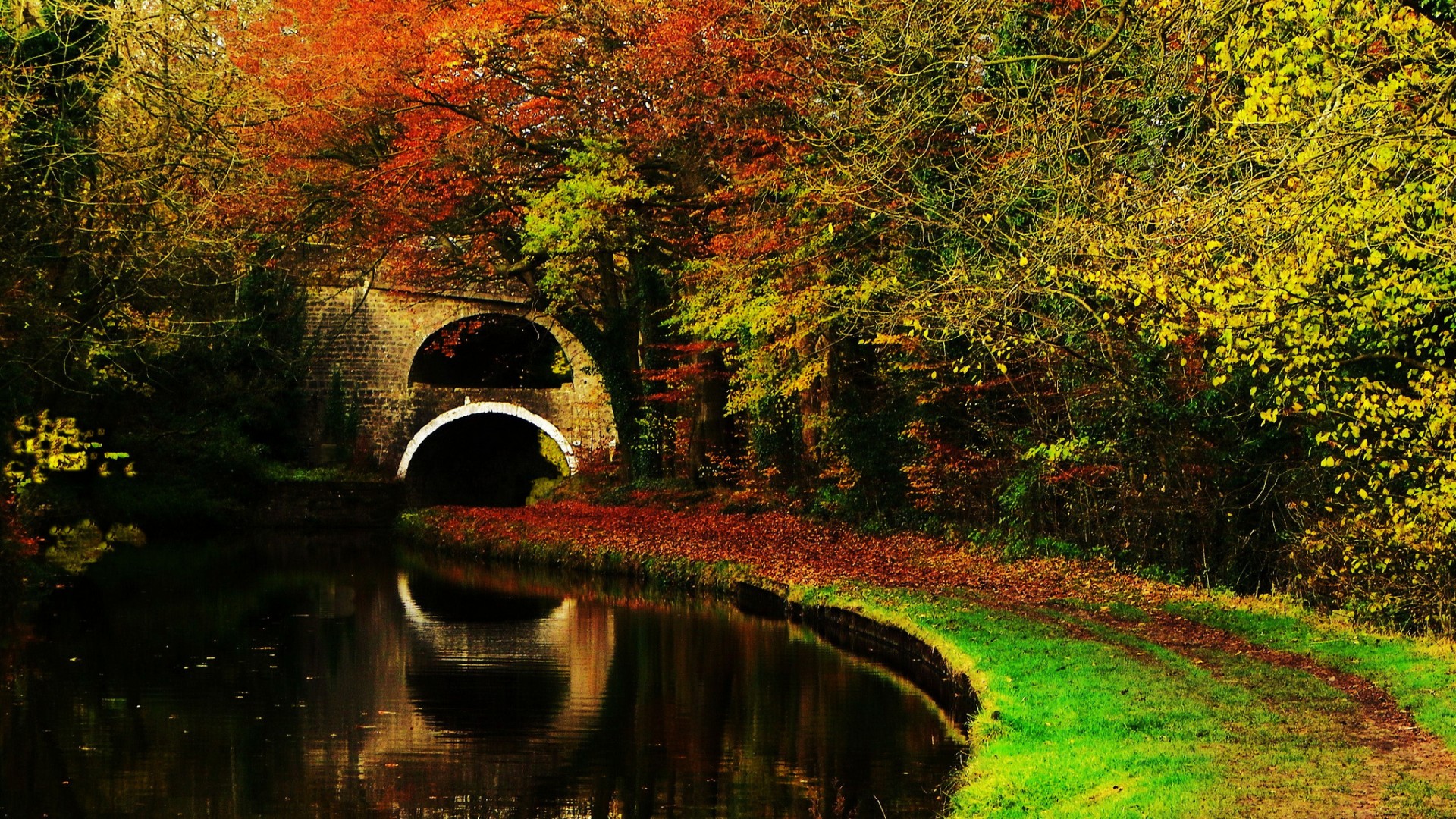 森林,秋天,树木,河流,石拱桥,小路,自然风景壁纸
