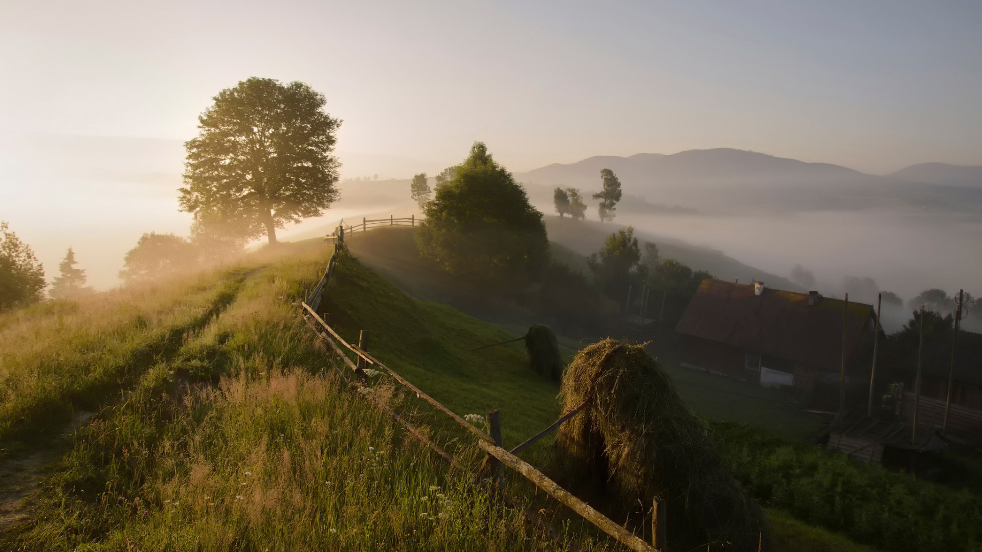 喀尔巴阡山，乡村，早上，雾，风景桌面壁纸
