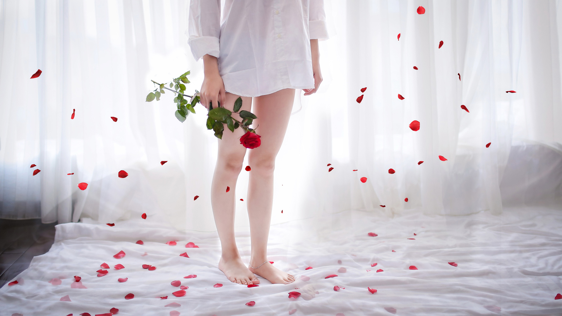 女孩，床上，玫瑰，花瓣，唯美桌面壁纸