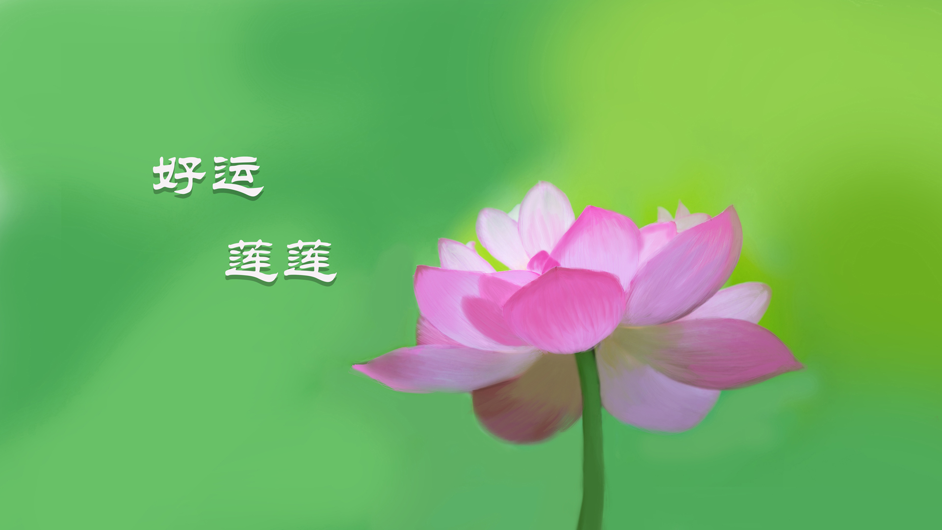 好运莲莲 手绘荷花 清新 护眼 高清壁纸
