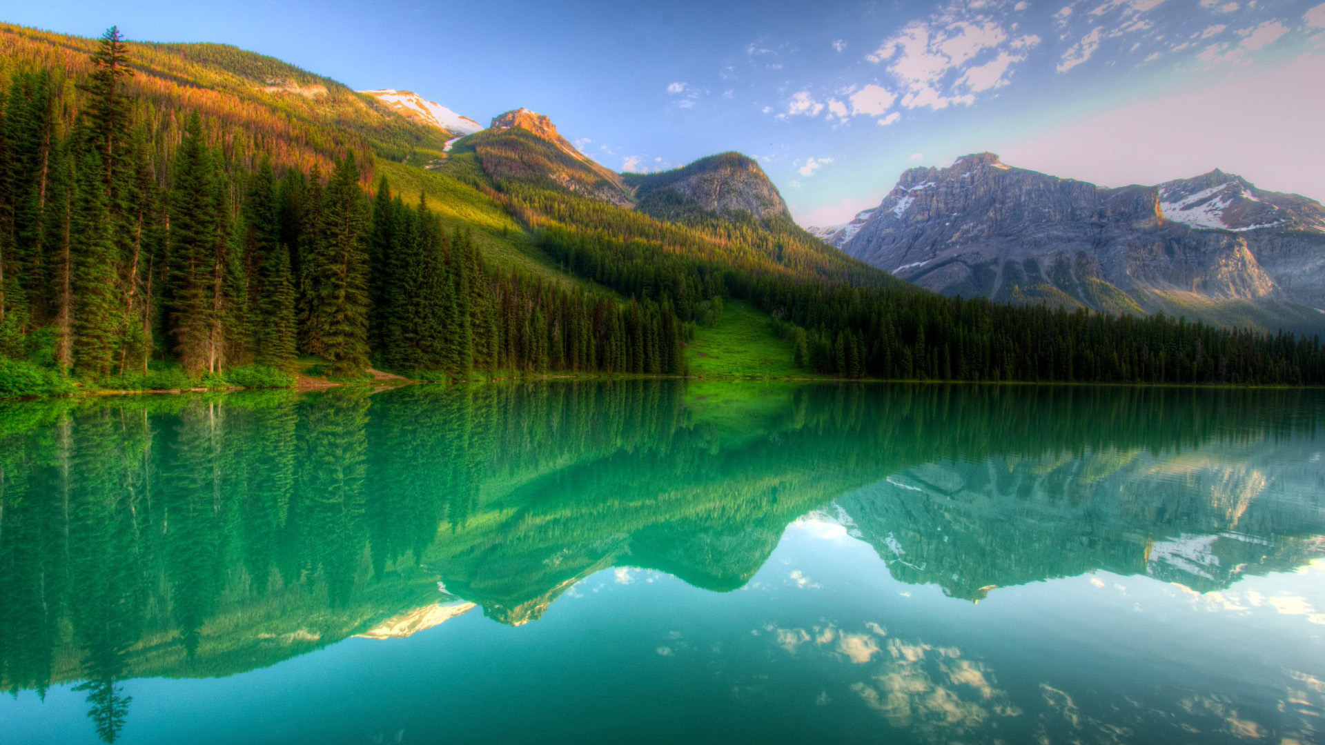 加拿大,yoho,湖,森林,自然风景壁纸