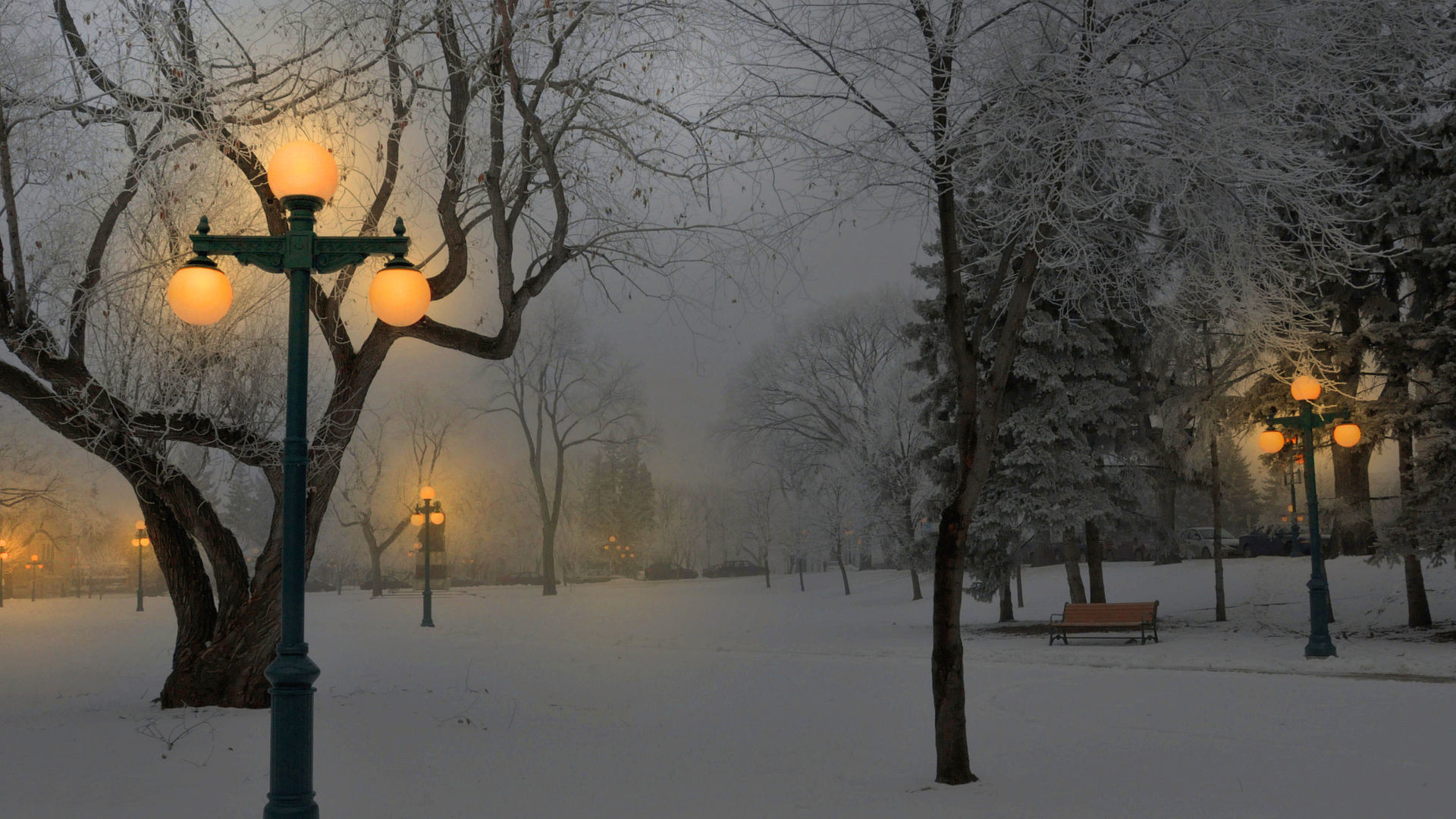 冬天，雪，公园，长椅，路灯，风景桌面壁纸