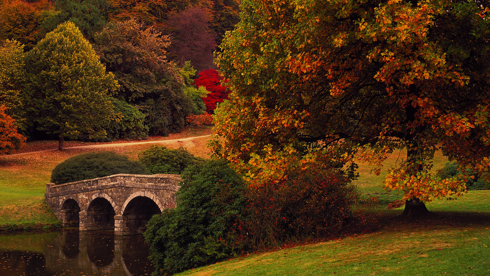 英国，斯托海德，桥，树林，草地，小路，秋天风景桌面壁纸