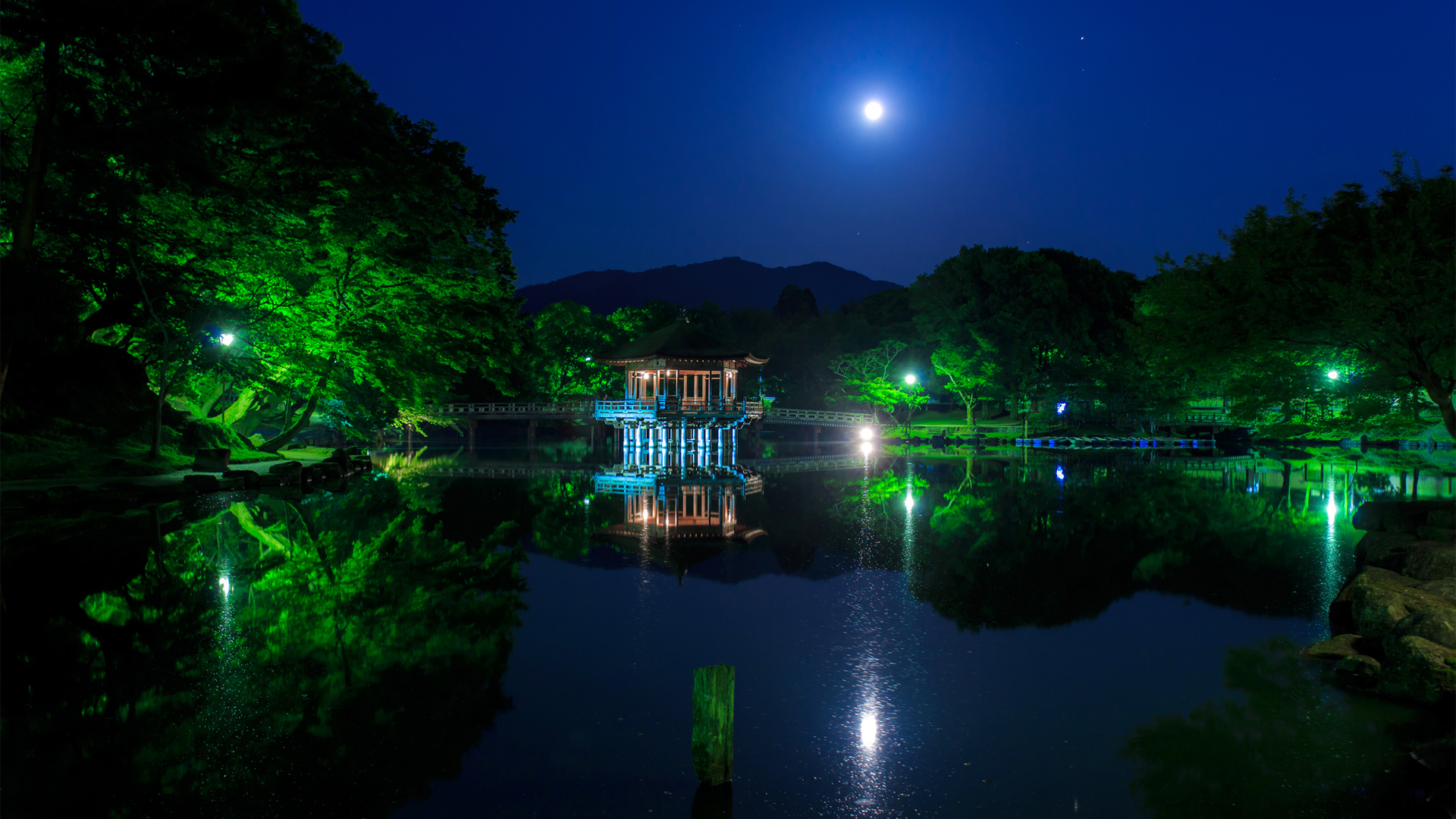 日本公园,树林,池塘,亭子,月亮,夜晚风景桌面壁纸