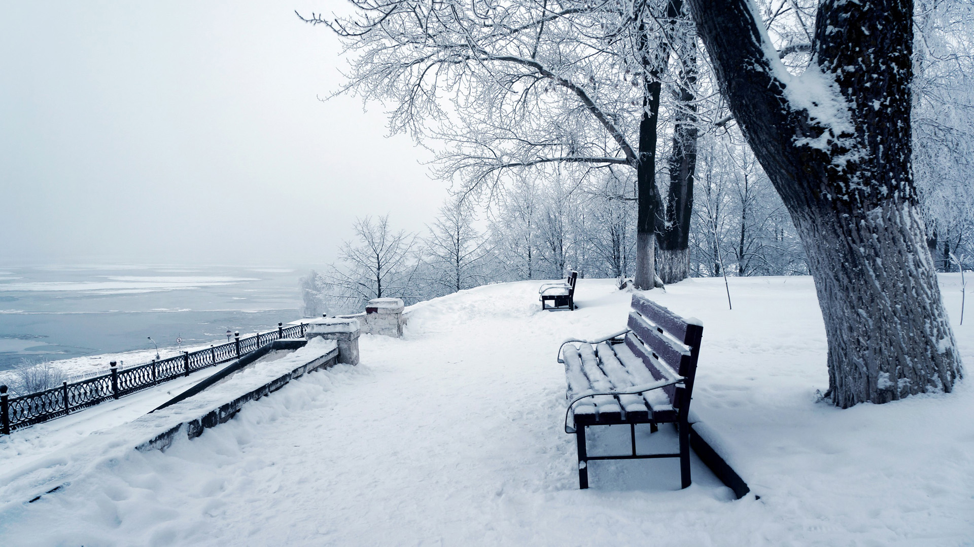 冬天，雪，板凳，树林，风景桌面壁纸