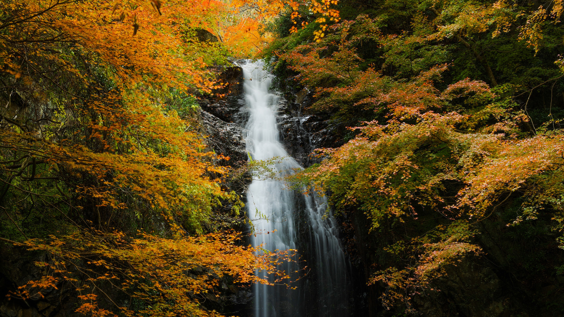 瀑布秋天森林山大自然风景桌面壁纸