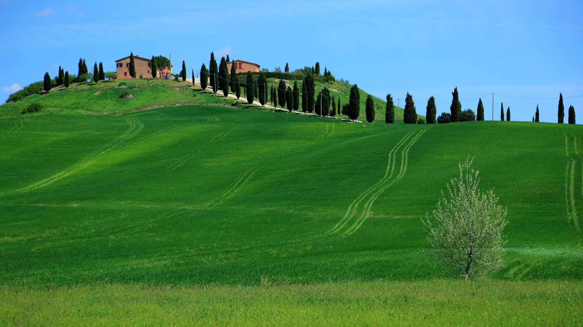 意大利，托斯卡纳，天空，房子，树，山丘，超高清风景桌面壁纸