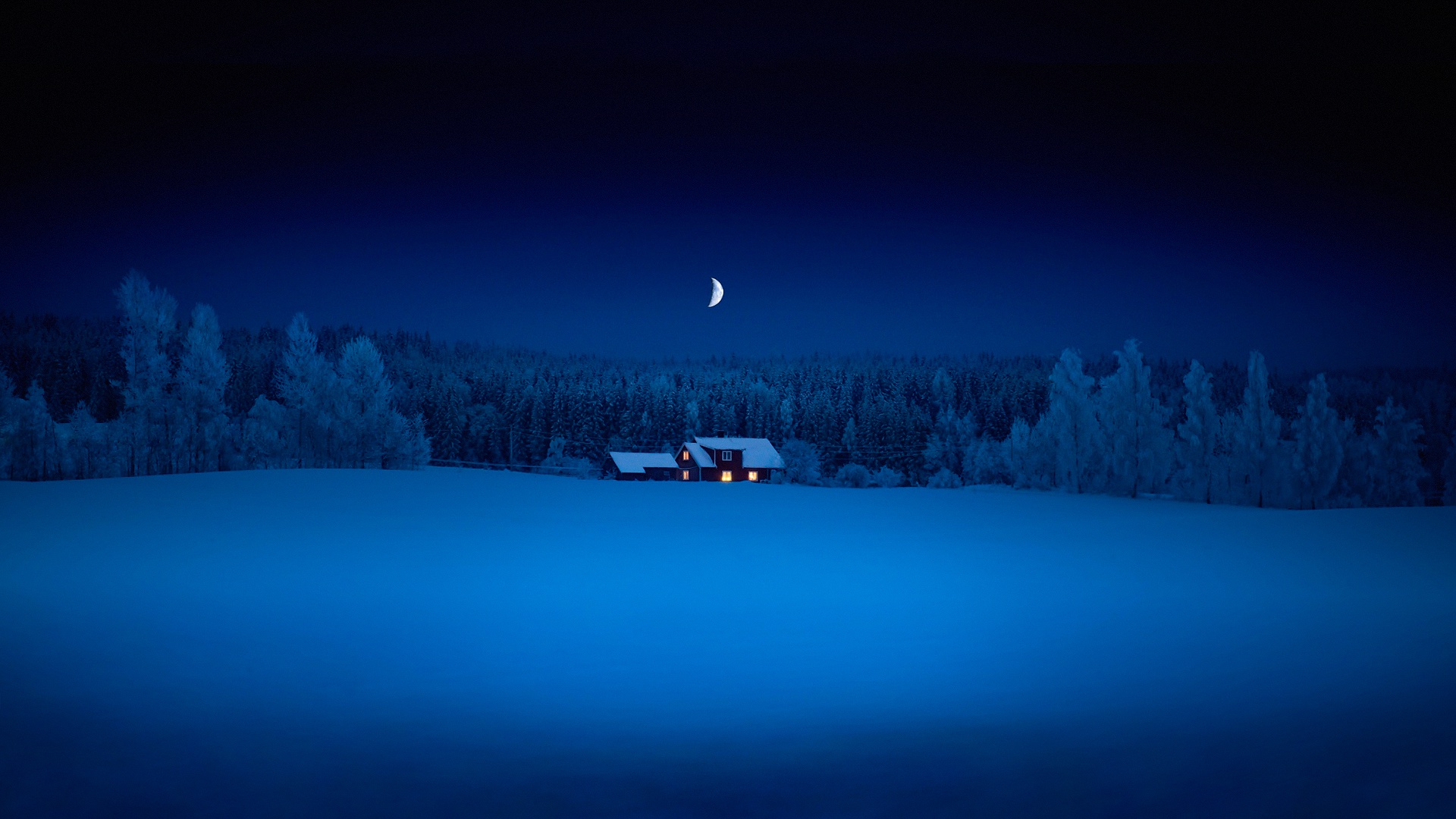森林,雪夜,房子,月亮,风景桌面壁纸