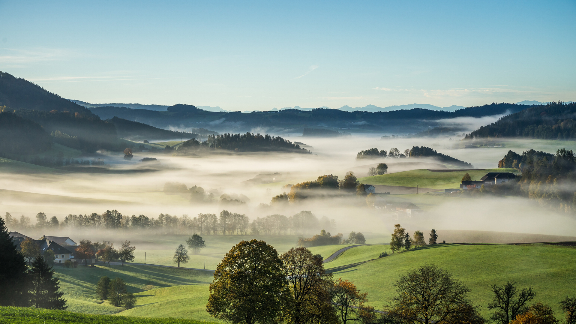 乡村 雾 奥地利 自然 树木 草地 风景 桌面 壁纸