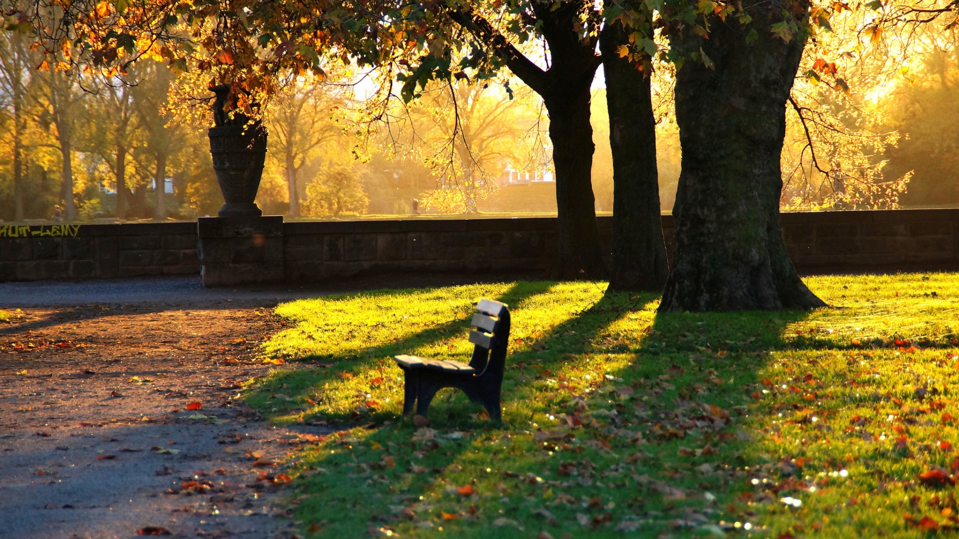 公园的长椅,草地,落叶,秋天,傍晚,安静,风景桌面壁纸