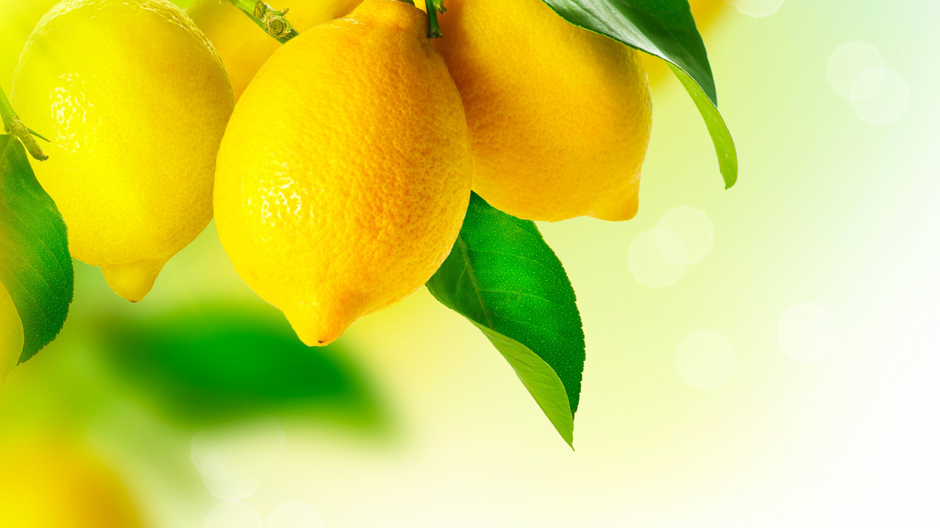 水果,黄色柠檬,桌面壁纸