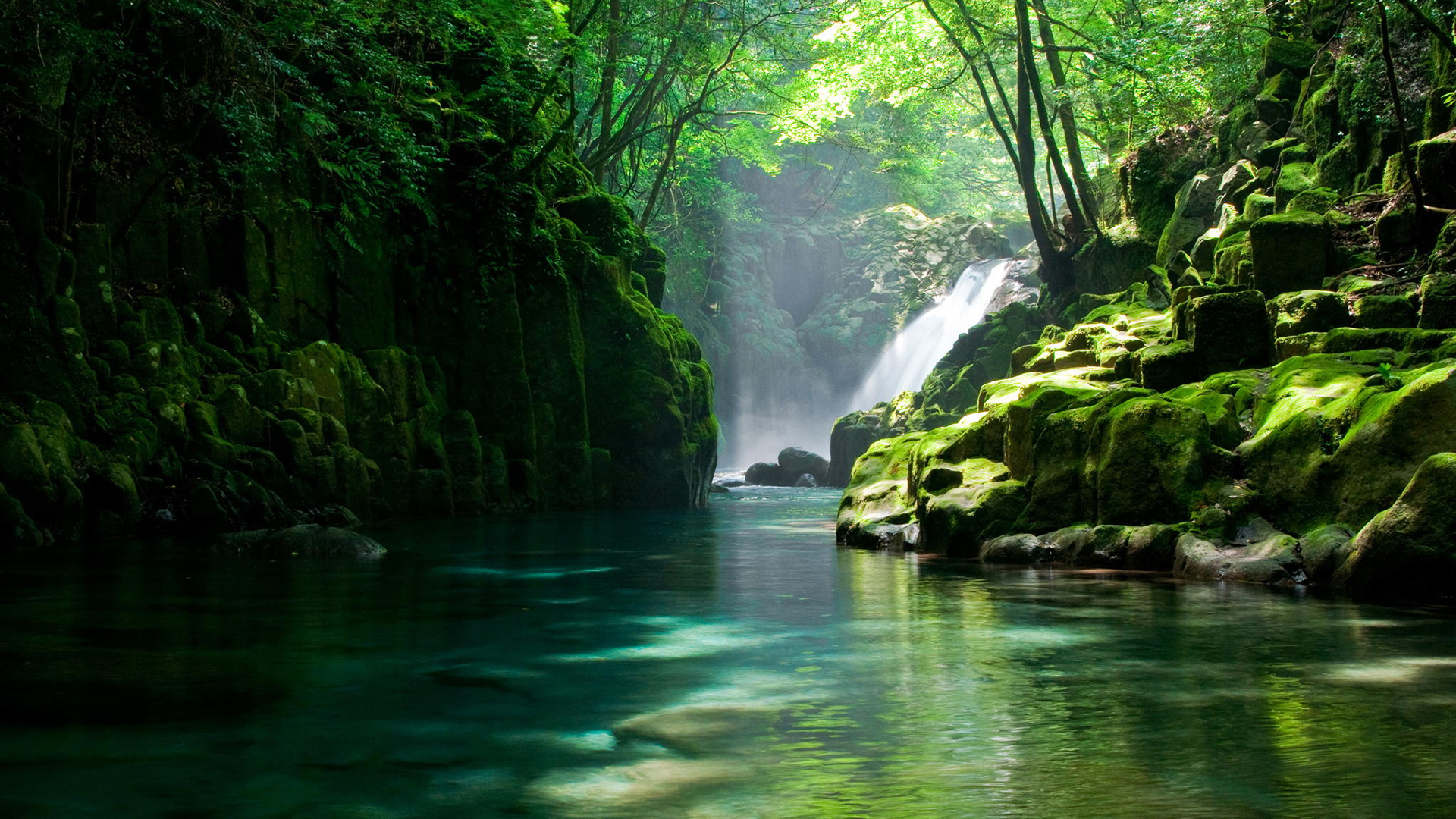 一池绿水 绿色护眼 清新 山涧密林 树木 小溪 自然风景壁纸