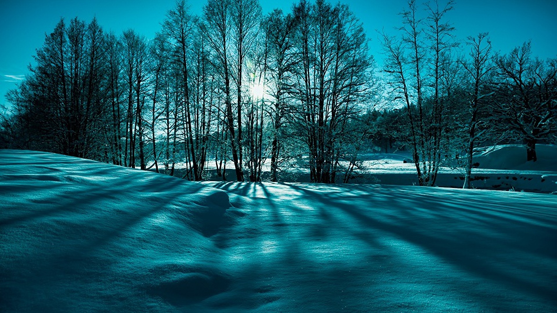 自然,冬天,雪,树,太阳,深蓝色风景桌面壁纸