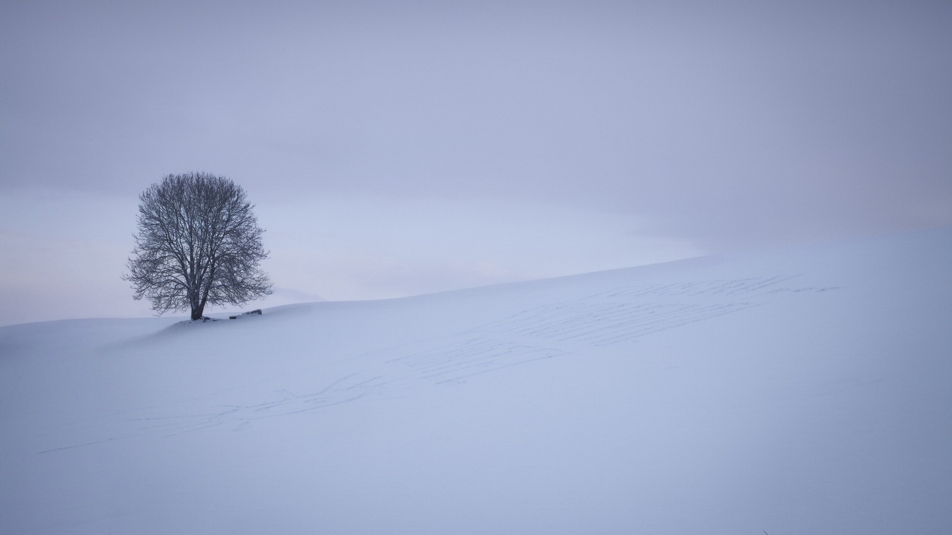 雪,雪地,树,简洁,风景桌面壁纸高清大图预览1920x1080