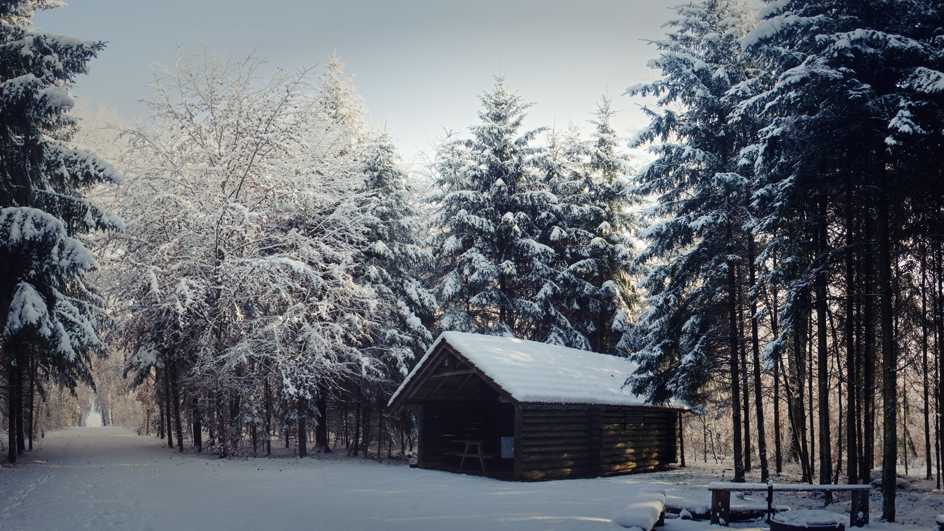 冬天森林小屋唯美风景桌面壁纸
