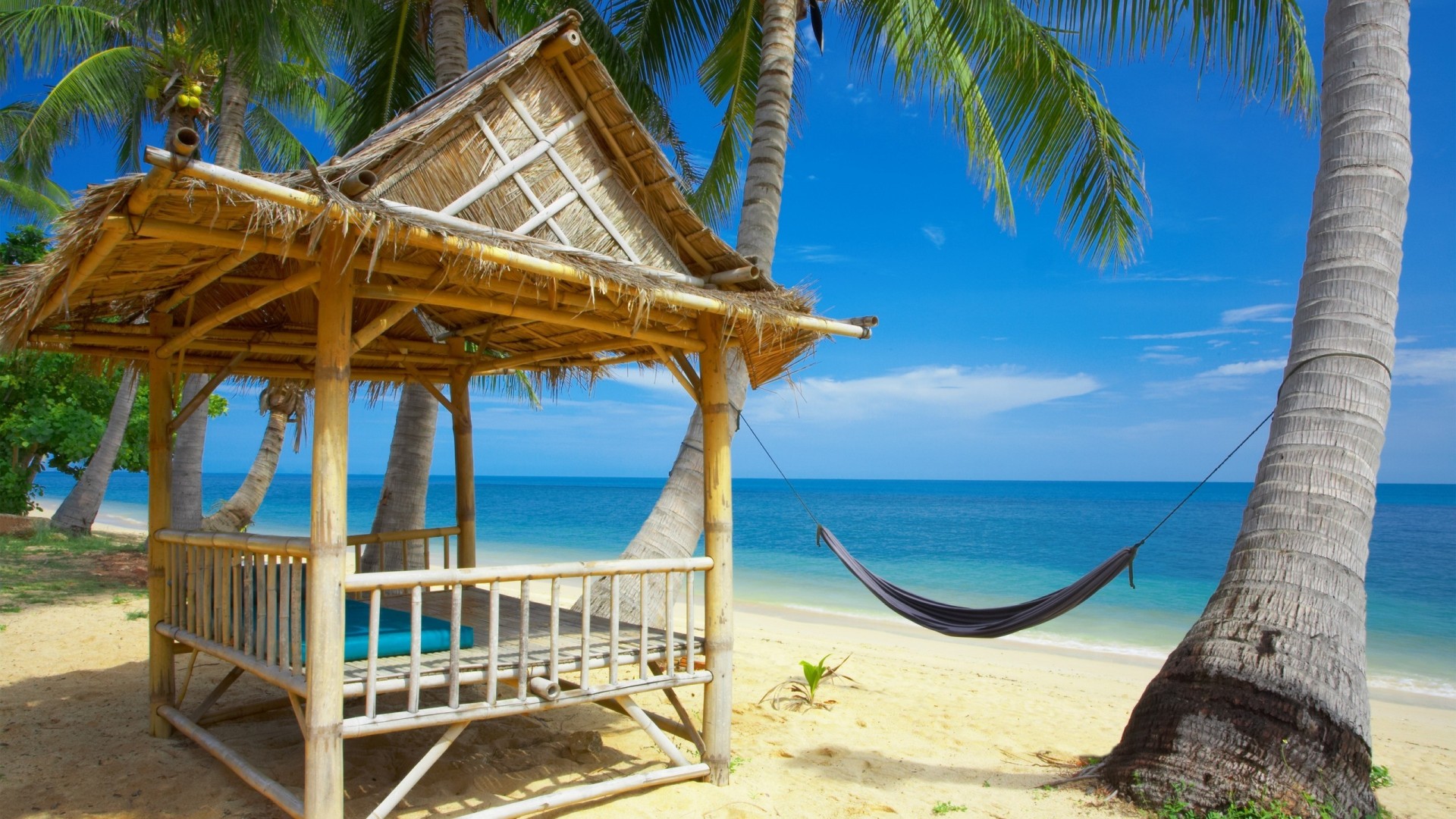 海水,沙滩,蓝天,棕榈树,吊床,海边风景桌面壁纸