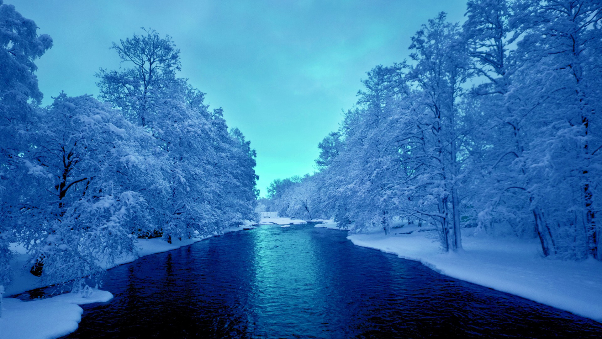 冬天,雪,树木,河流,天空,风景桌面壁纸