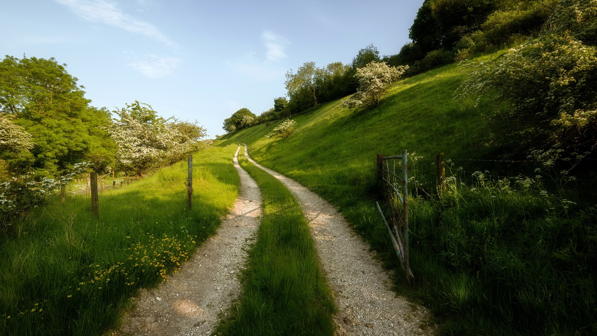 道路,天空,绿色草地树木,夏天自然风景壁纸