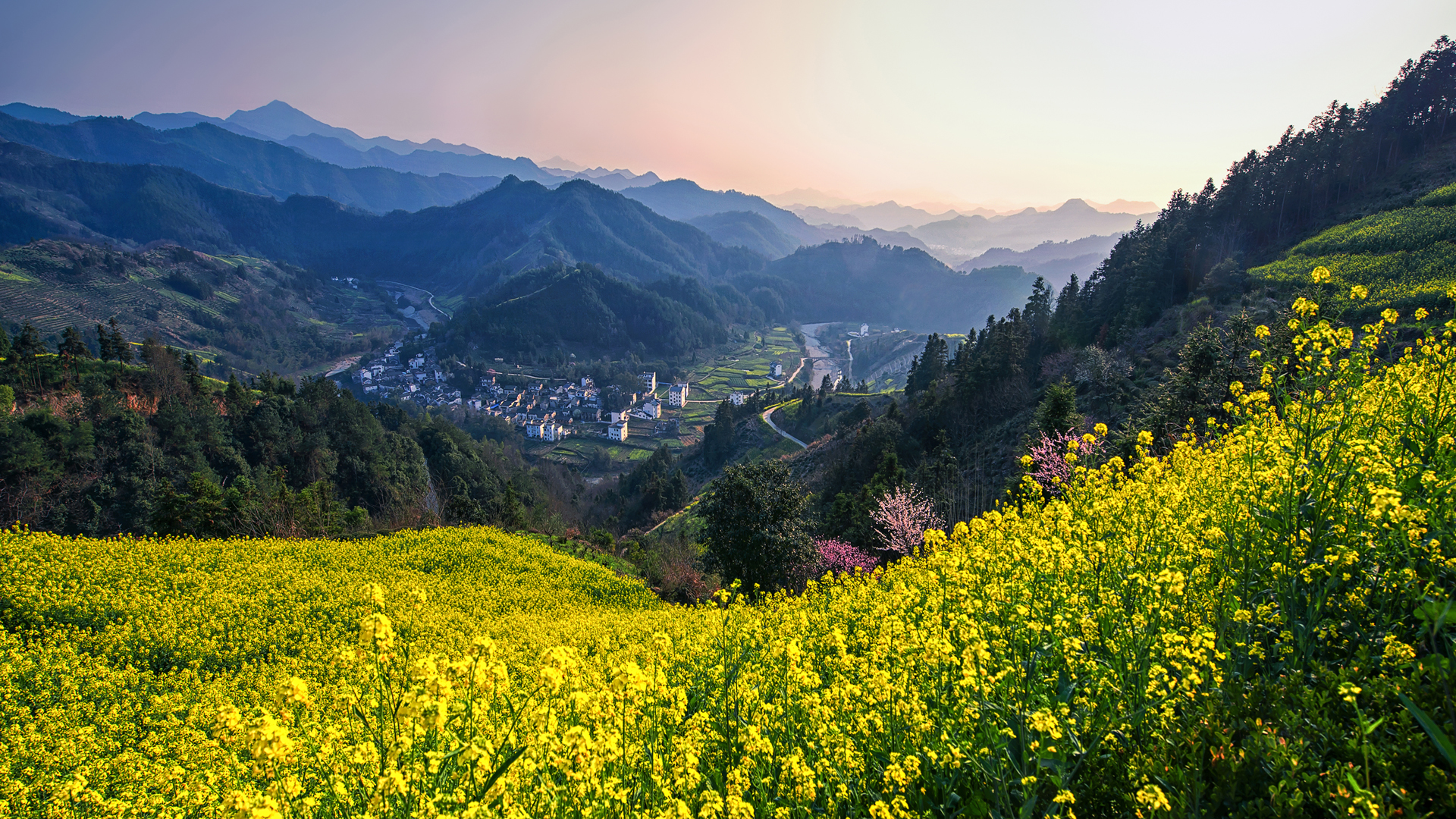 电脑桌面春天风景图片