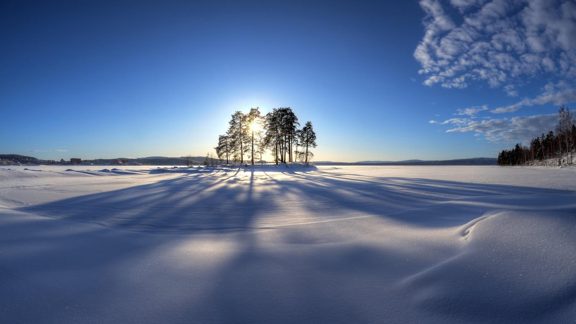 冬天,太阳,树,天空,雪地,风景壁纸