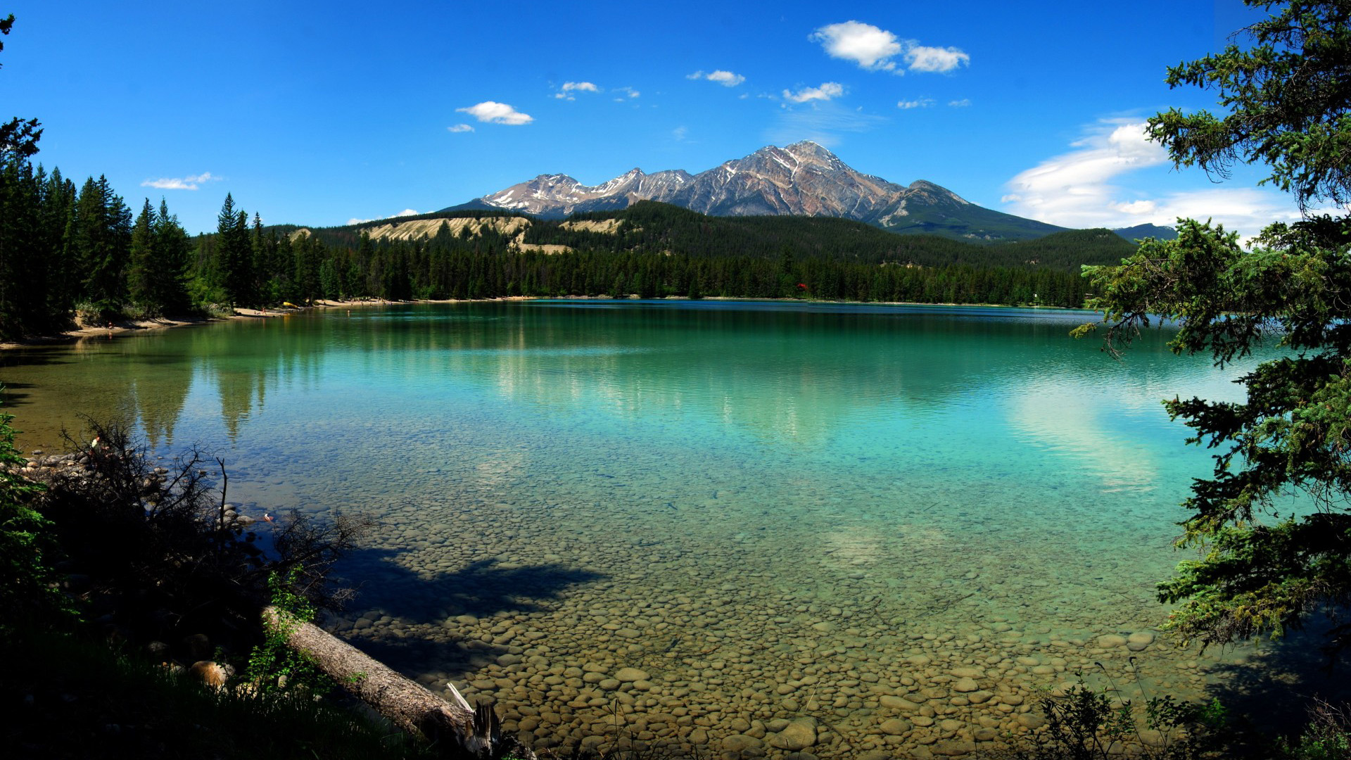 国家公园加拿大,湖泊,水,山,树风景桌面壁纸
