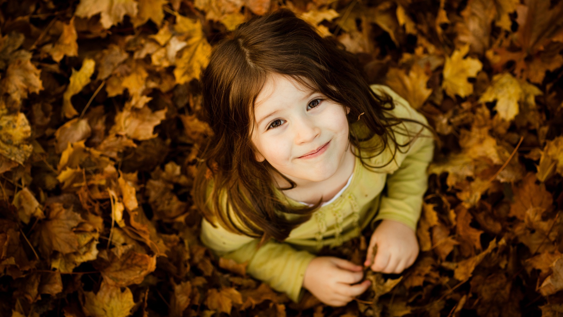 可爱的女孩,秋天,树叶,桌面壁纸