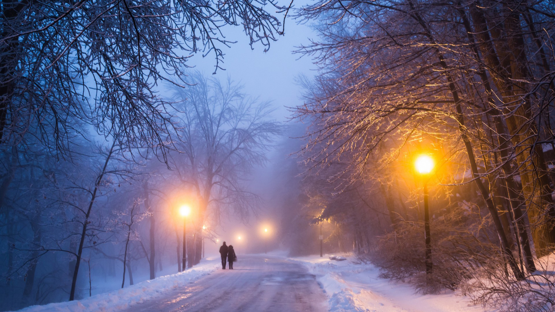 冬天，晚上，树林，道路，恋人，情侣，路灯，浪漫，雪景，风景桌面壁纸