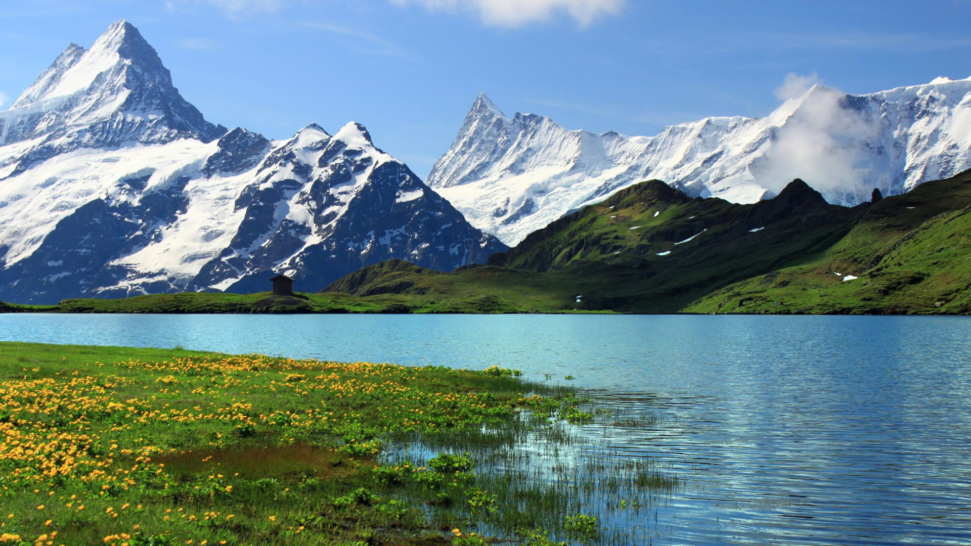 瑞士,伯尔尼,山峰,河流,风景桌面壁纸