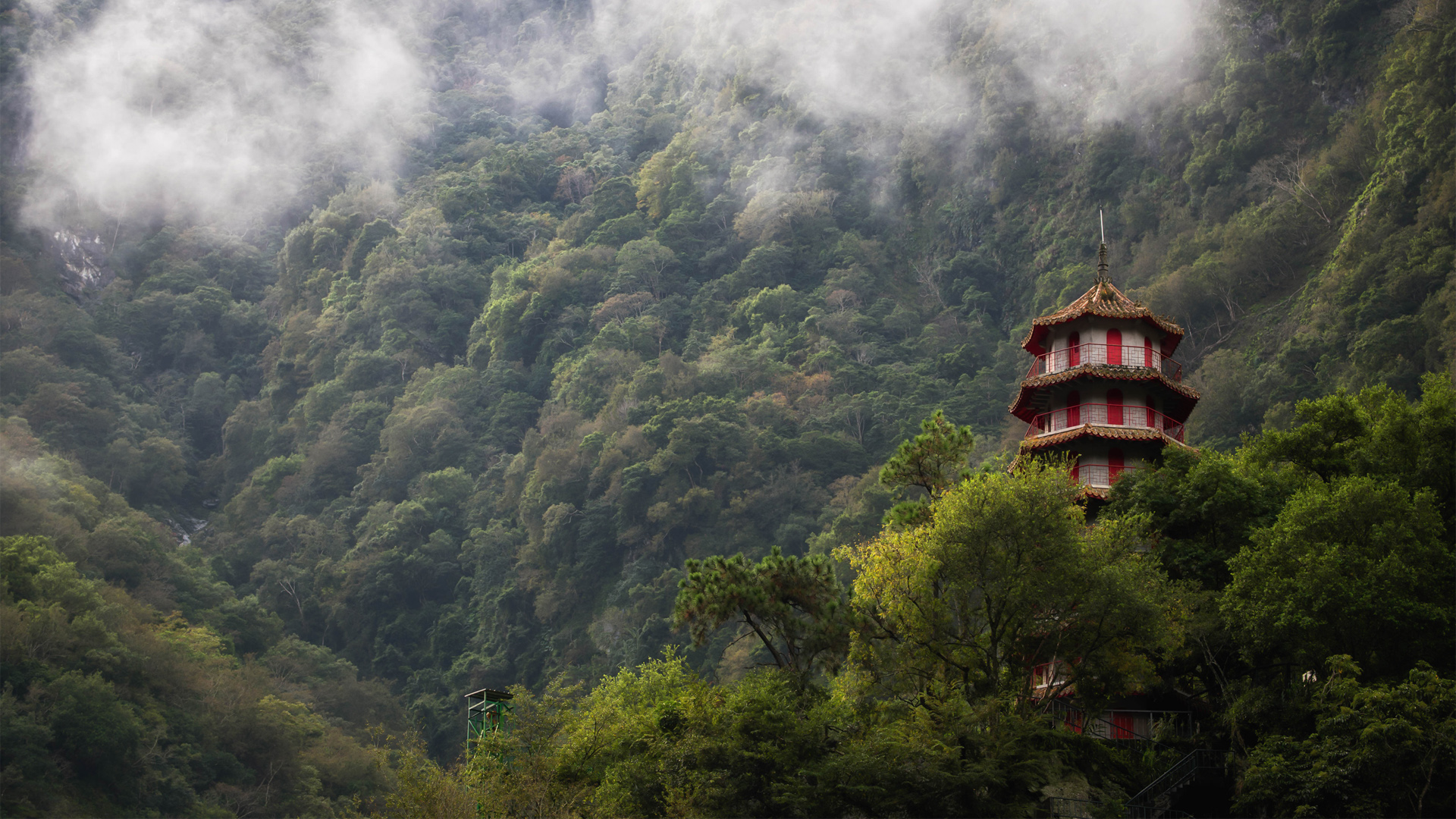 森林,山雾,塔,台湾风景壁纸