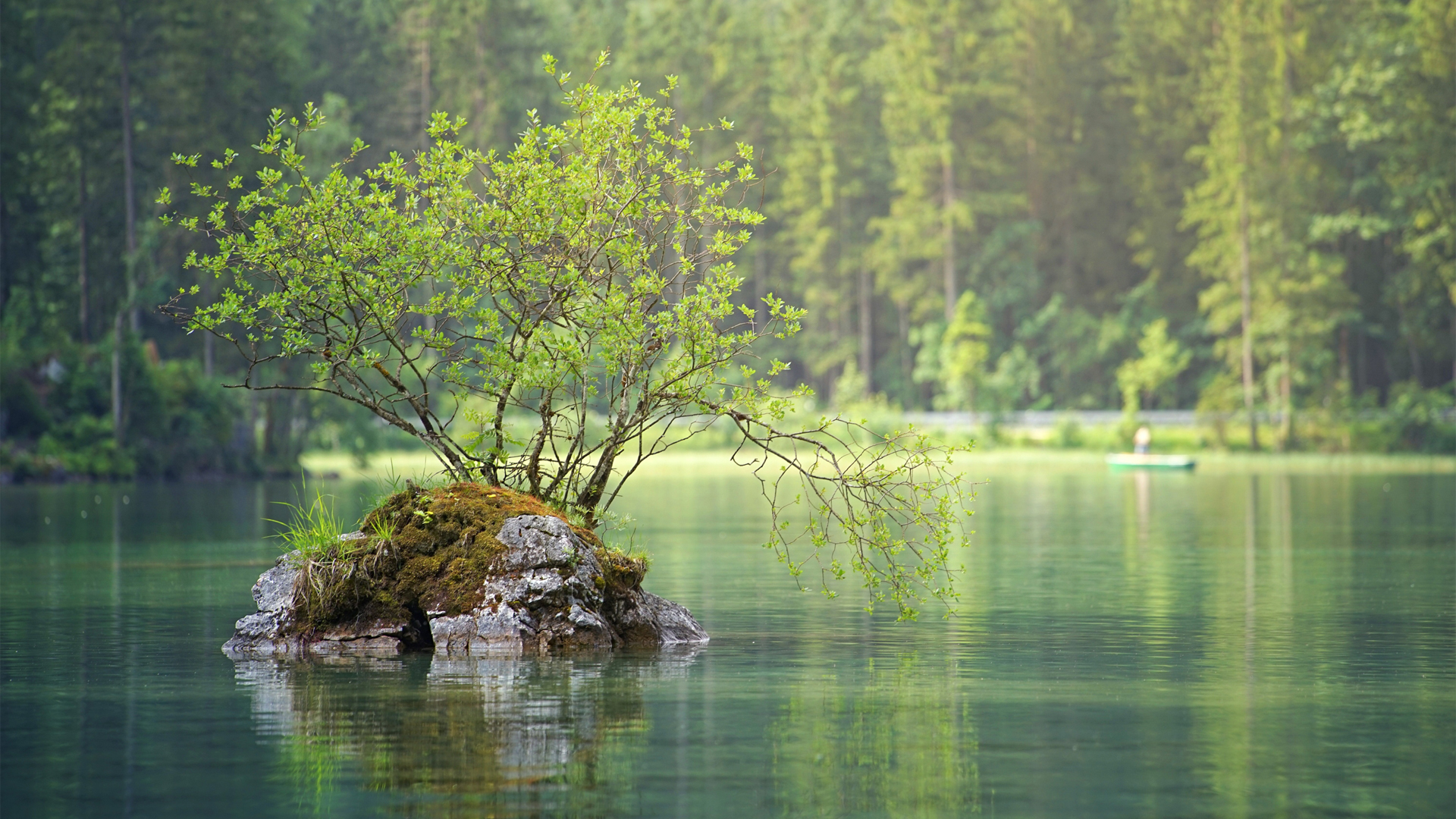绿色森林湖自然风景护眼壁纸