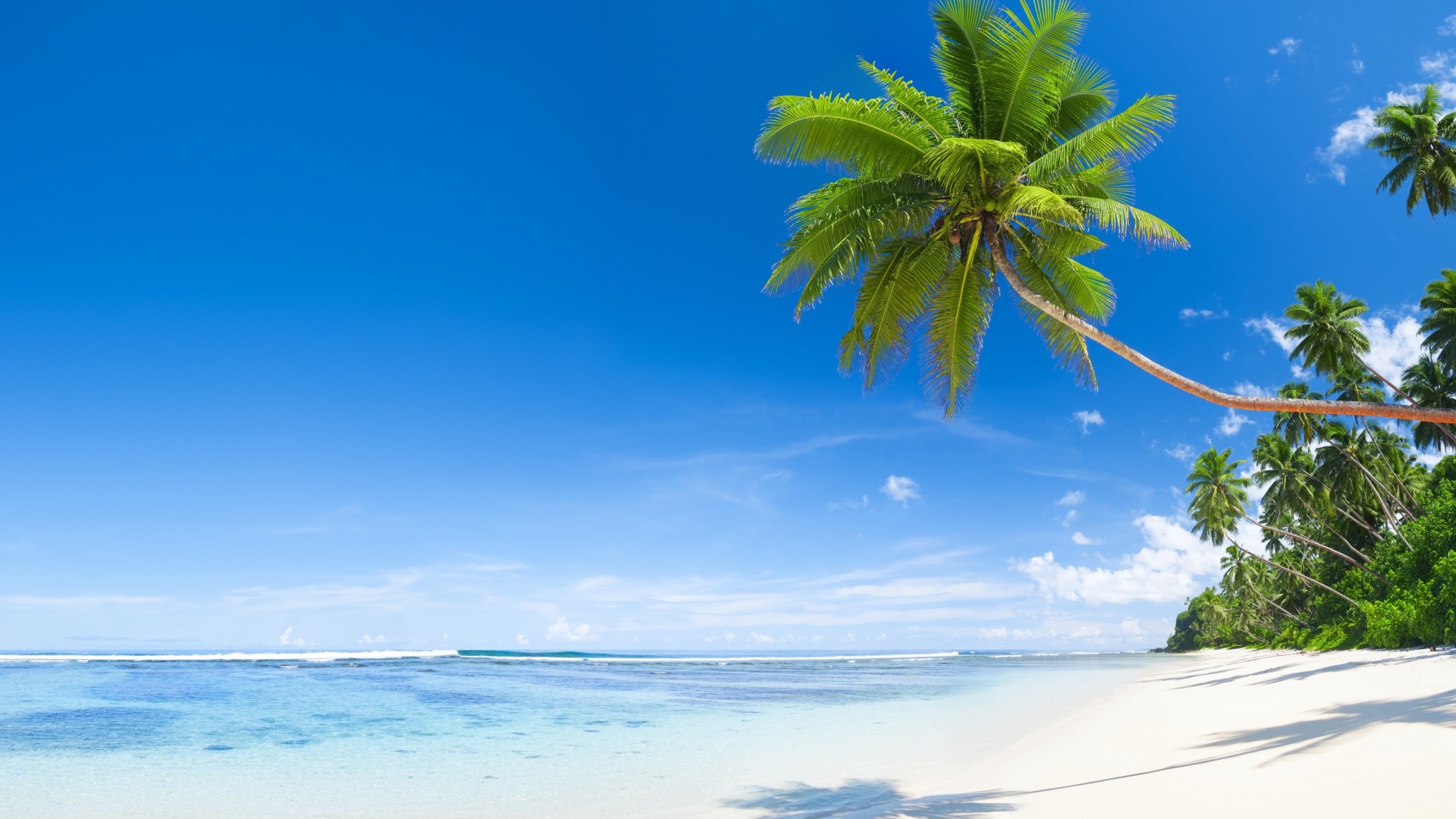 热带地区，海水，沙滩，棕榈树，蓝色天空，风光桌面壁纸