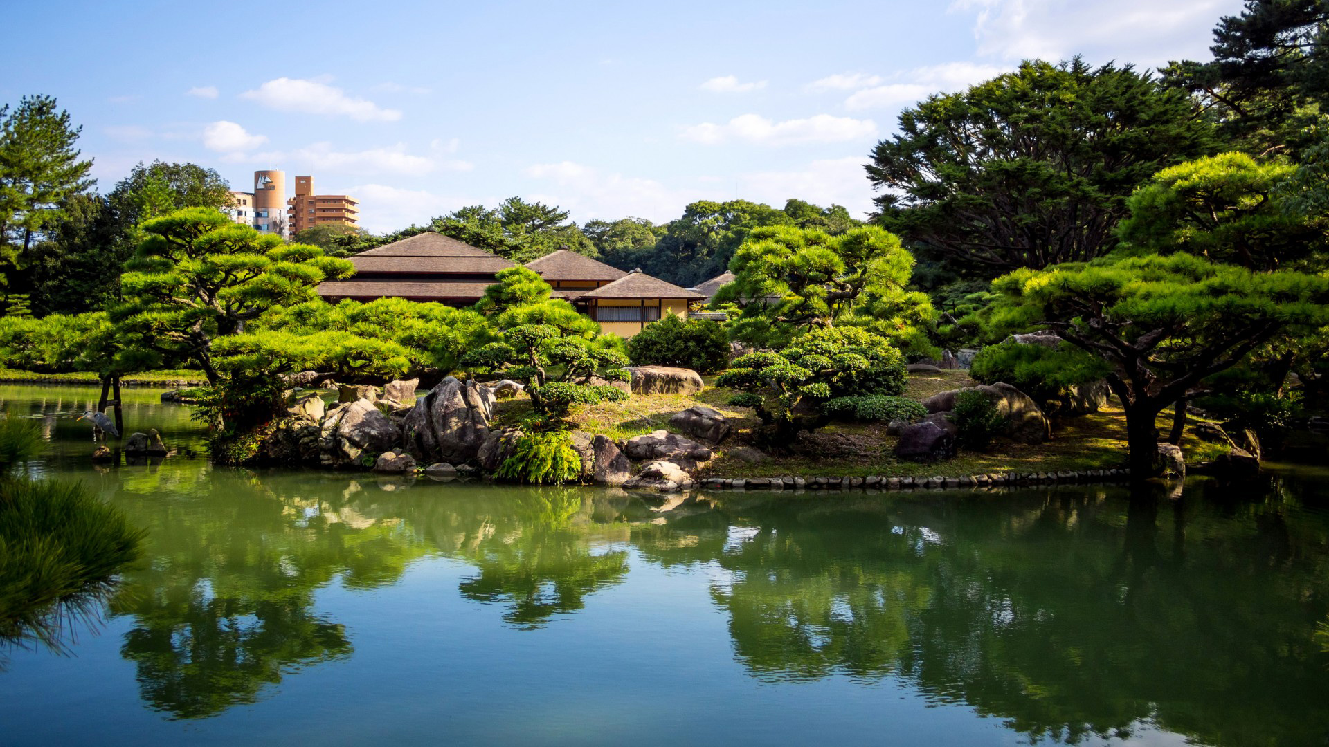 日本栗林公园，池塘，风景桌面壁纸