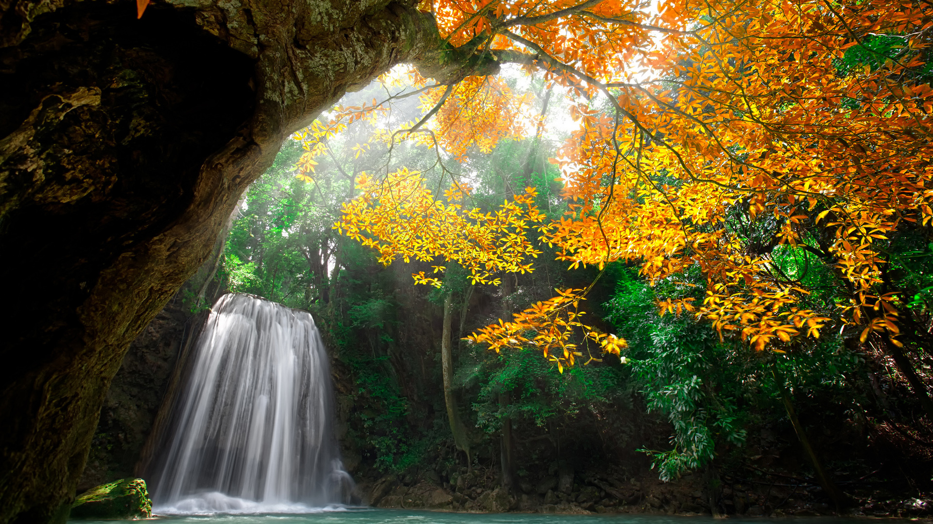 秋天,森林,老树,自然瀑布风景桌面壁纸